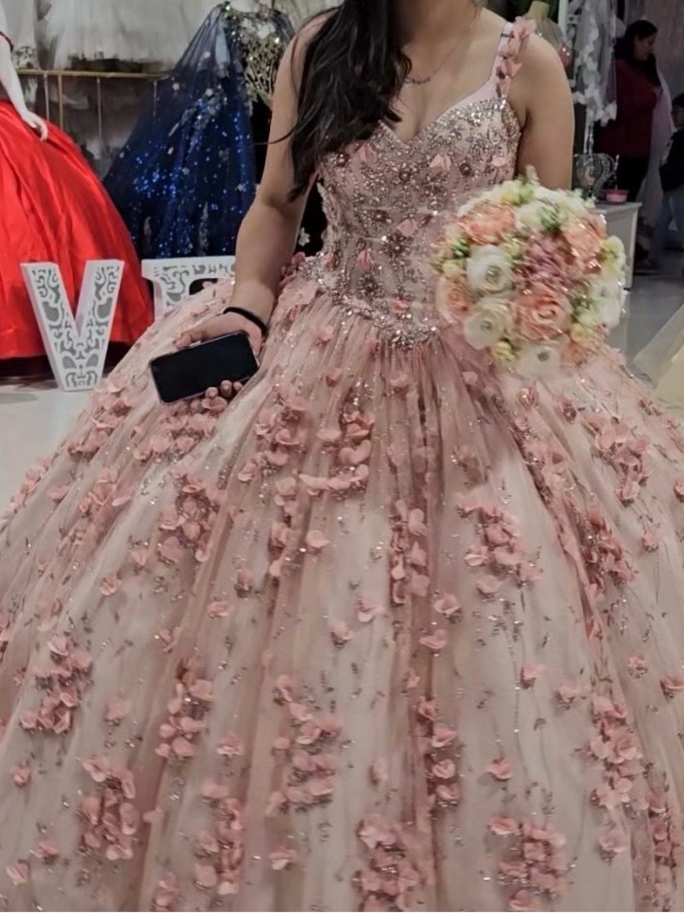 Blush Pink Floral 3D Appliqué Ball Gown